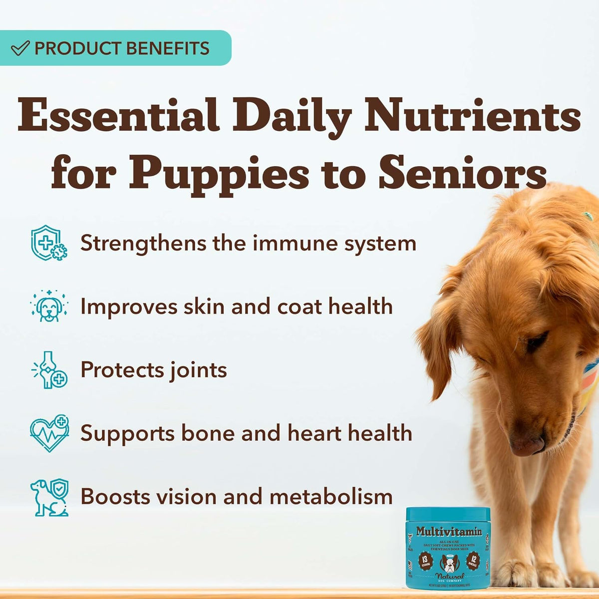 Natural Dog Company 25 in 1 Multivitamin Chews (180 Pcs) Dog Vitamins & Supplements, Peanut Butter