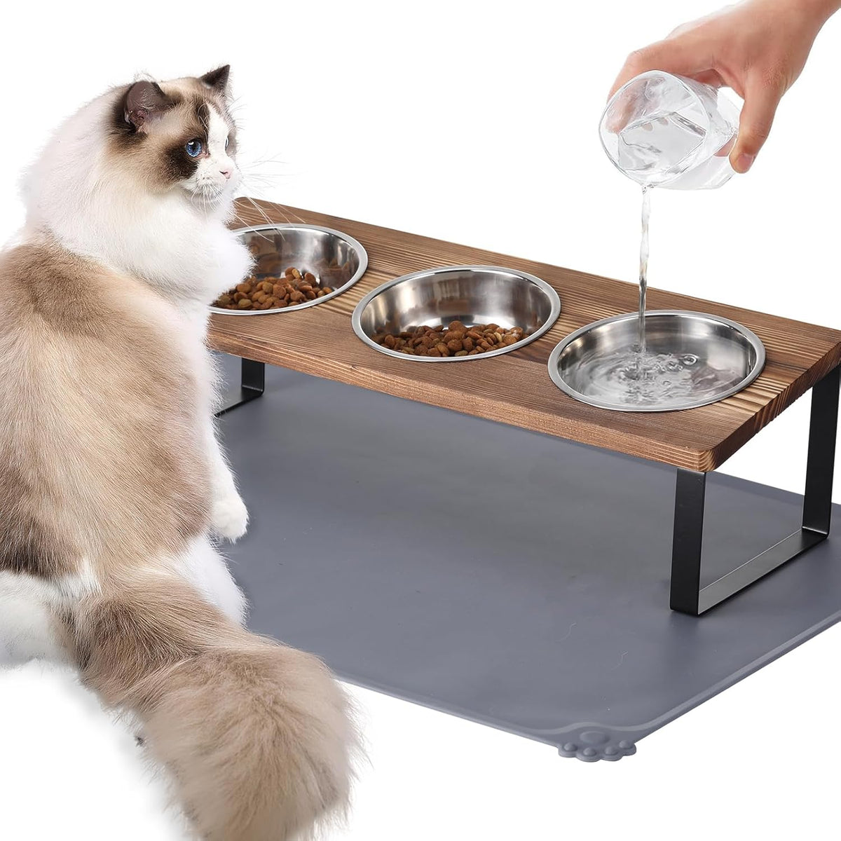 Upgraded Elevated Cat Bowls with Food Mat,15°Tilted Stand Anti Vomiting Raised Cat Dishes for Food