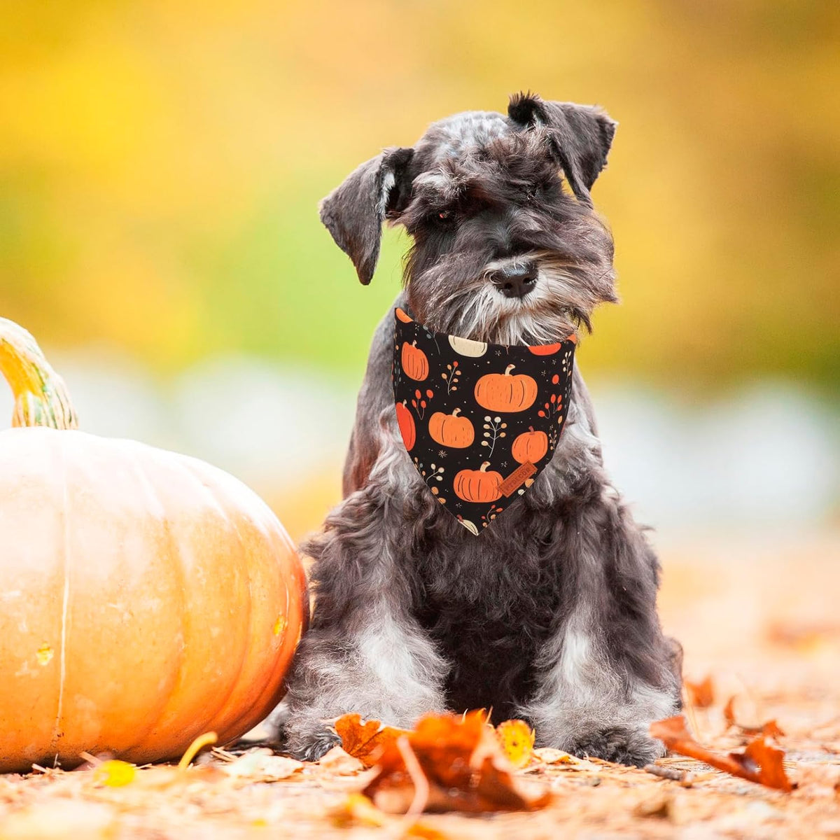 PTDECOR Fall Dog Bandana, Pumpkin Mushroom Design Scarf Reversible Holiday Dog Scarf, Triangle