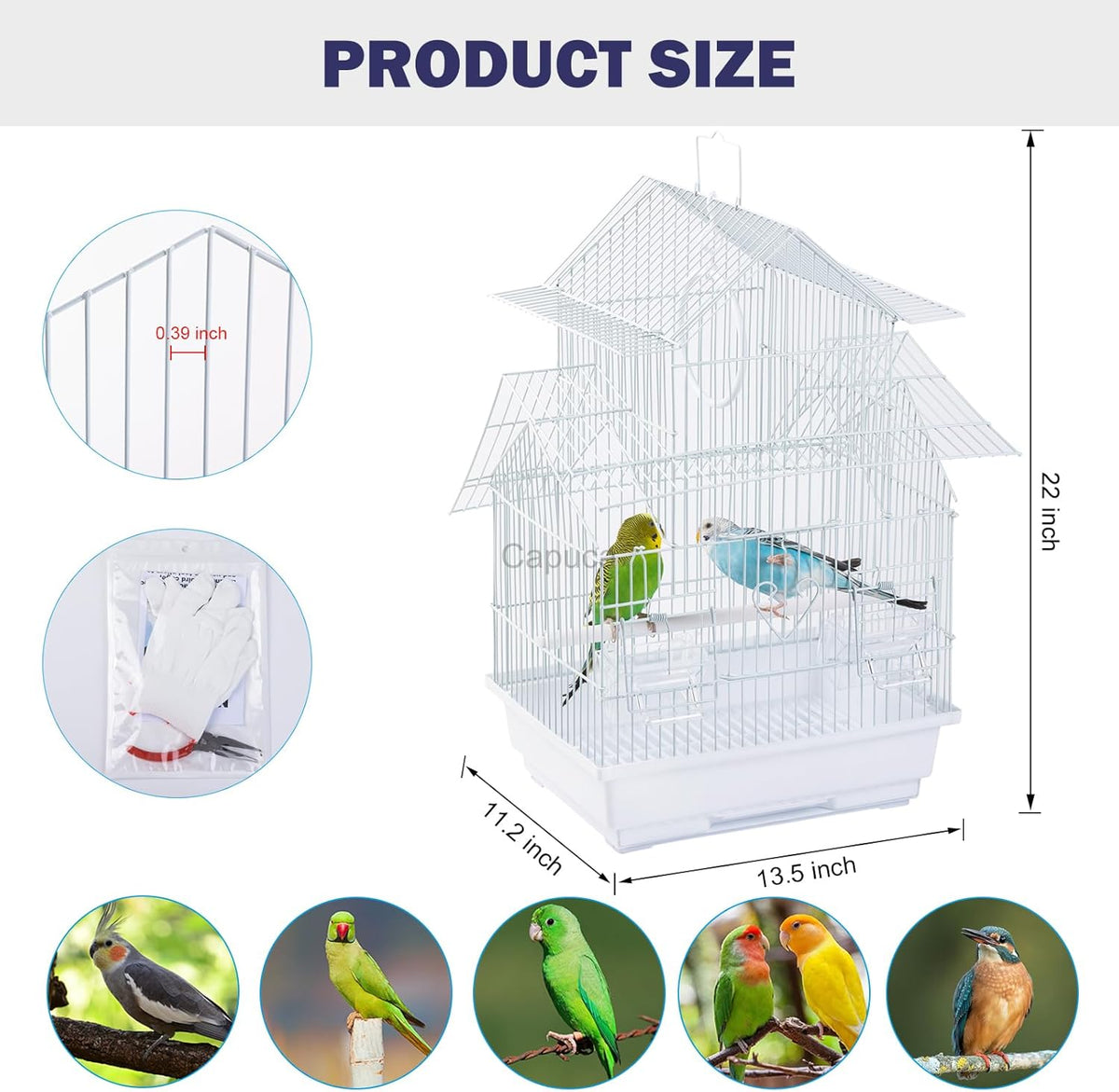 Small Bird Travel Cage - The Lightweight Small Birds Starter Kit with Birdcages and Accessories