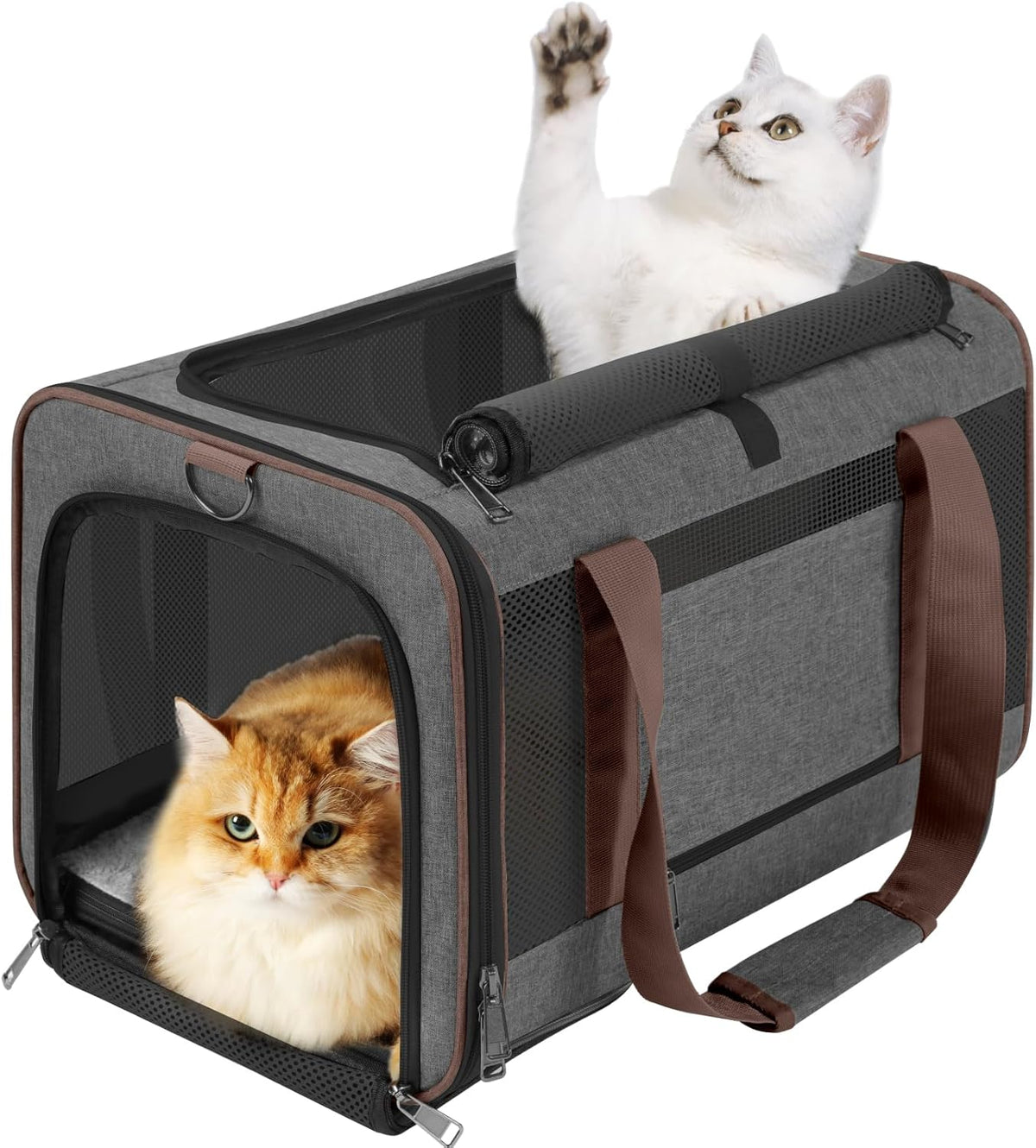 Small Dog Carrier Cage Soft Chihuahua/Softshell Big Cat Carrier Maine Coon/Pet Taxi Carrying Bag