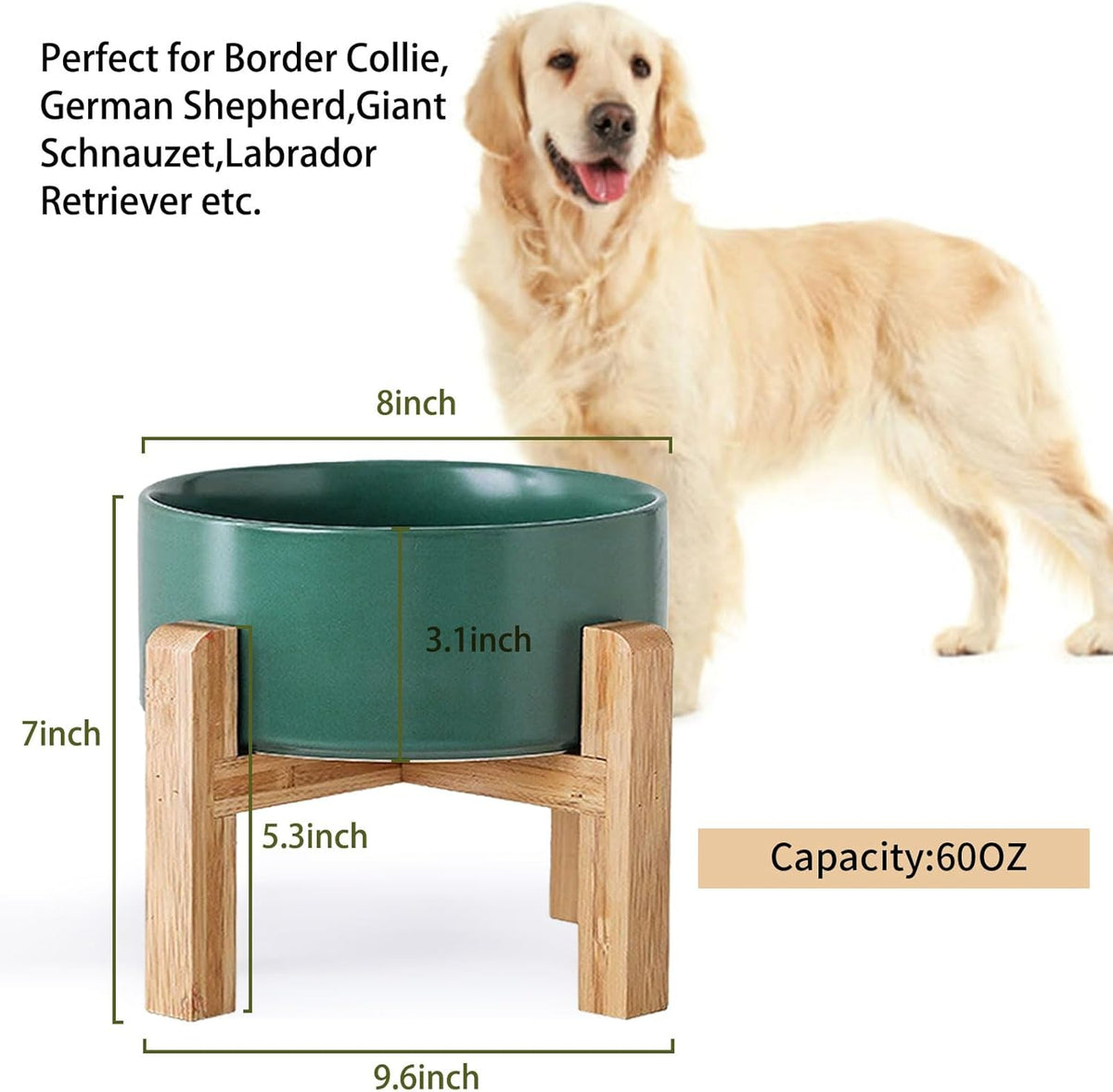 Petygooing Green Elevated/Raised Ceramic Dog Bowl for Medium and Large Breeds, Dog Food Water Dish