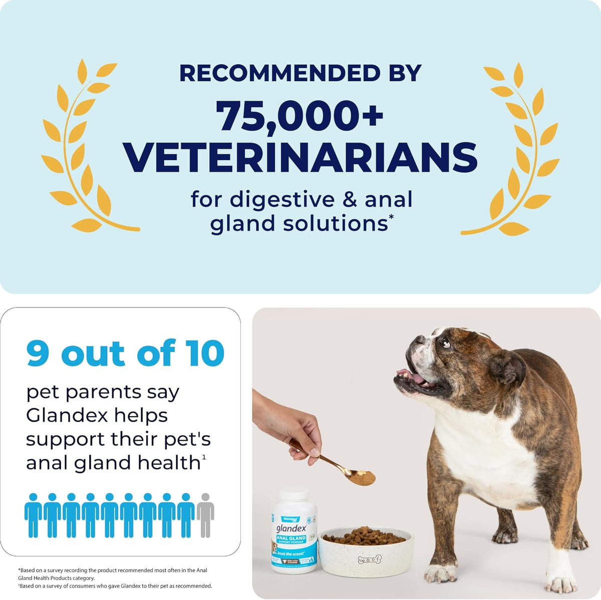 Vetnique Labs Glandex Dog Fiber Supplement Powder for Anal Glands with Pumpkin, Digestive Enzymes &