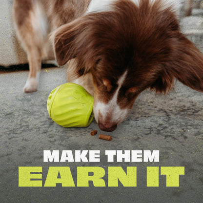 Benebone Pawbler - Natural Rubber Interactive Enrichment Treat and Kibble Dispensing Dog Toy