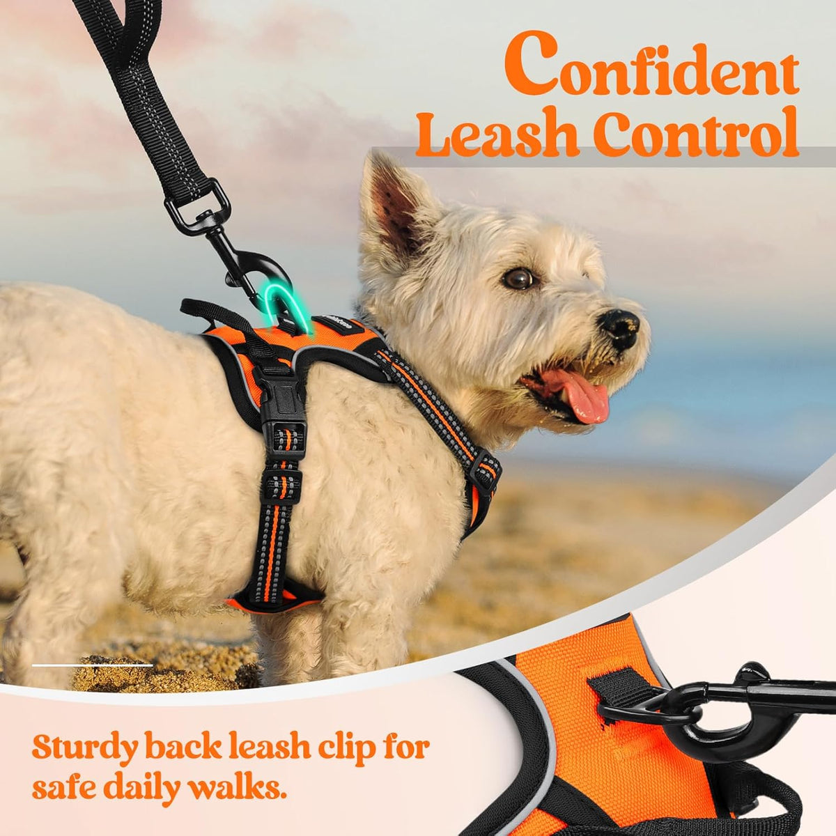 rabbitgoo Dog Harness No Pull with 2 Leash Clips, Adjustable Soft Padded, Reflective Oxford No