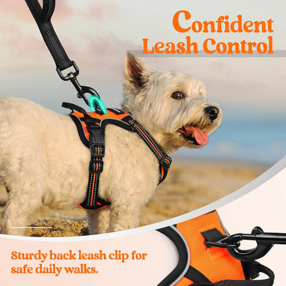 rabbitgoo Dog Harness No Pull with 2 Leash Clips, Adjustable Soft Padded, Reflective Oxford No