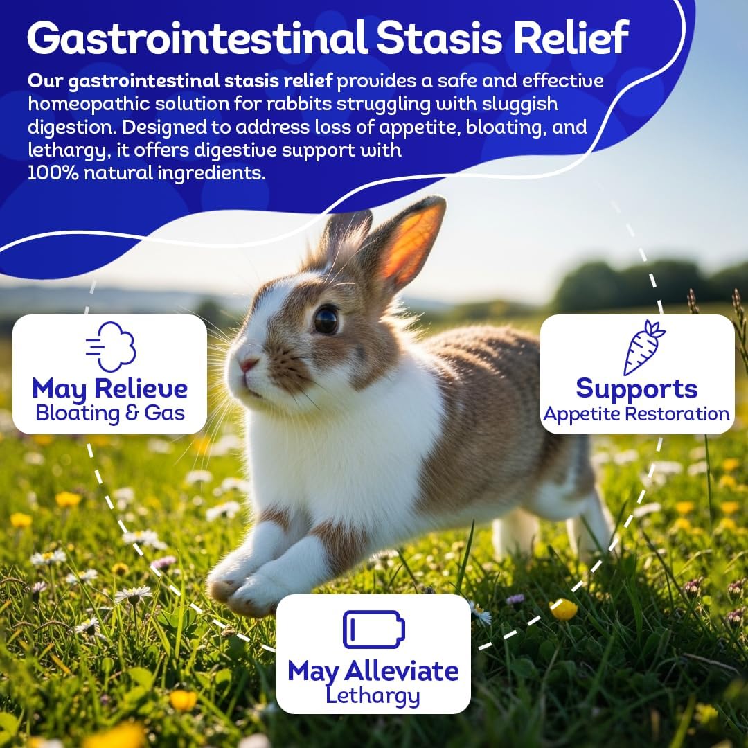 HA4E - Rabbit Gastrointestinal Stasis Treatment - Promotes Healthy Digestion & GI Stasis Relief