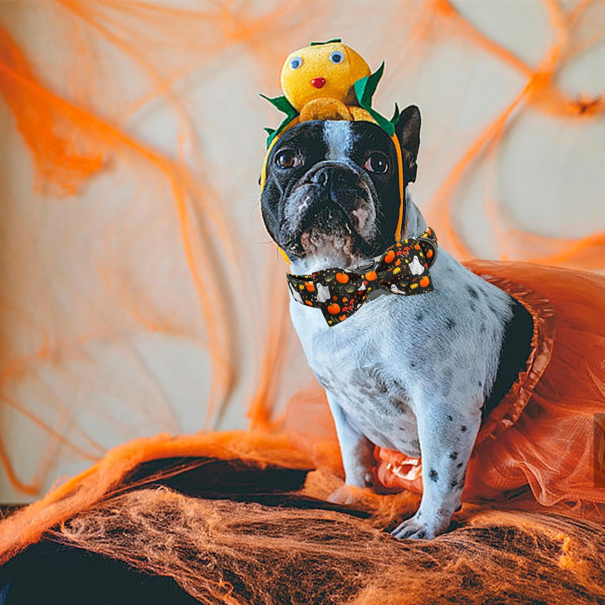 Elegant little tail Fall Dog Collars, Ghosts Pumpkin Print Halloween Pet Collar Puppy Male Cotton