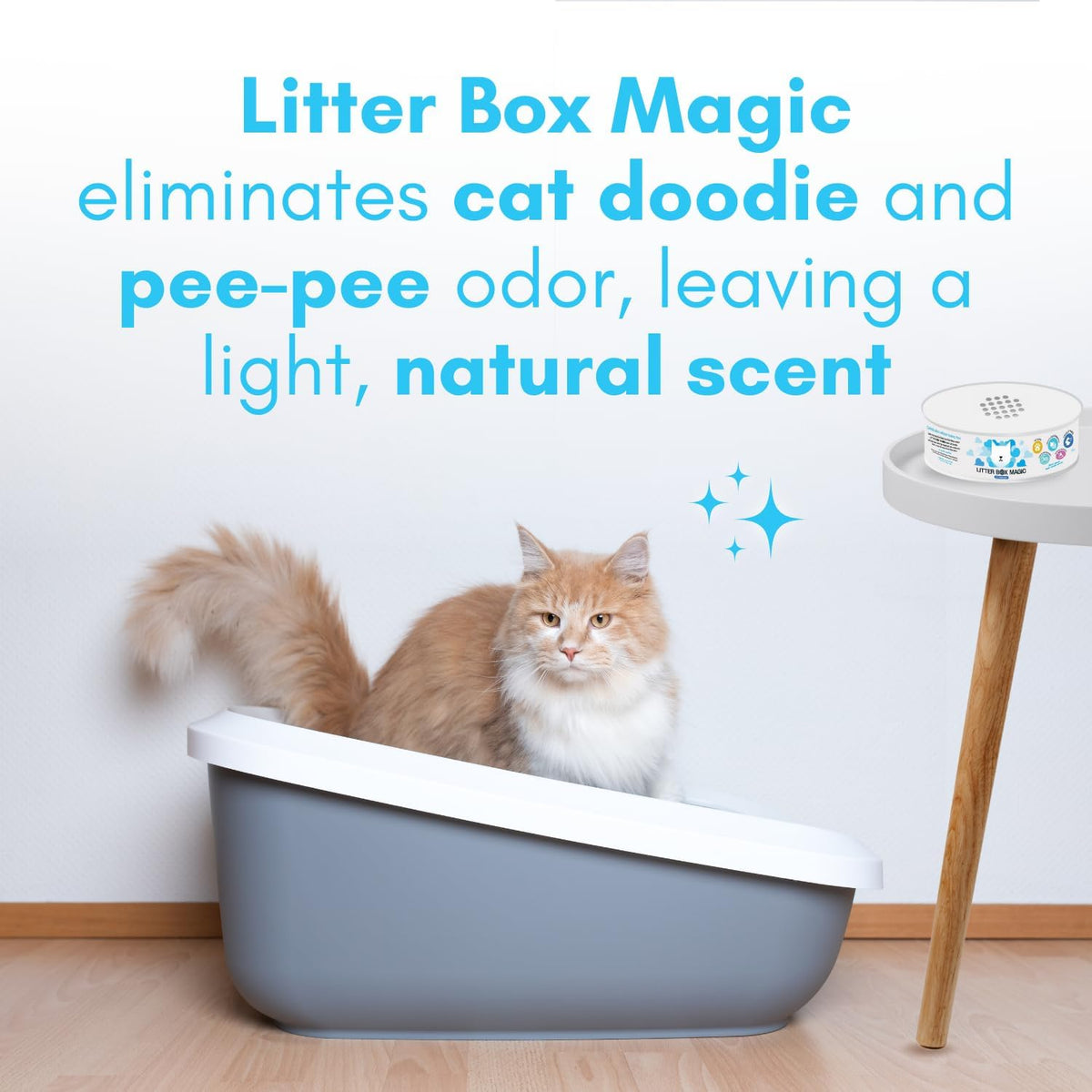 Cat Litter Deodorizer Jar (1 Fresh Scent and 1 Fragrance Free, 16 Oz, Pack of 2) - Cat Litter Odor