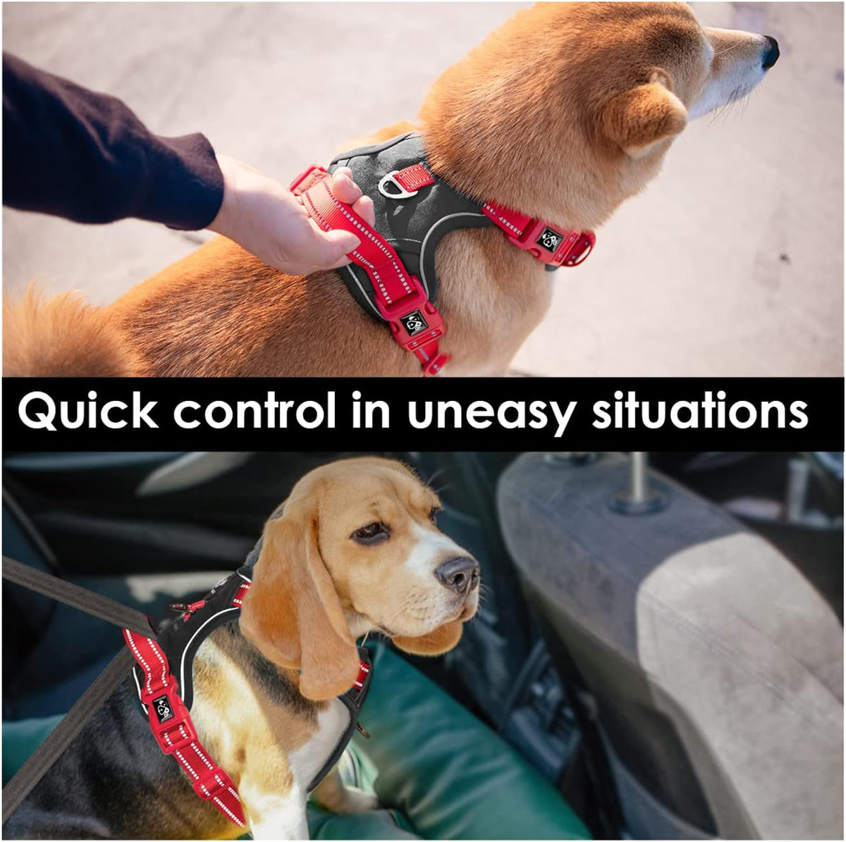 PHOEPET No Pull Dog Harness, Unique Colors Reflective Adjustable Dog Vest, with Soft Training