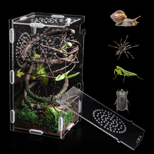 Jumping Spider Enclosure, Acrylic Praying Mantis Habitat, 8"*4"*4" Insect Terrarium, Small Reptile