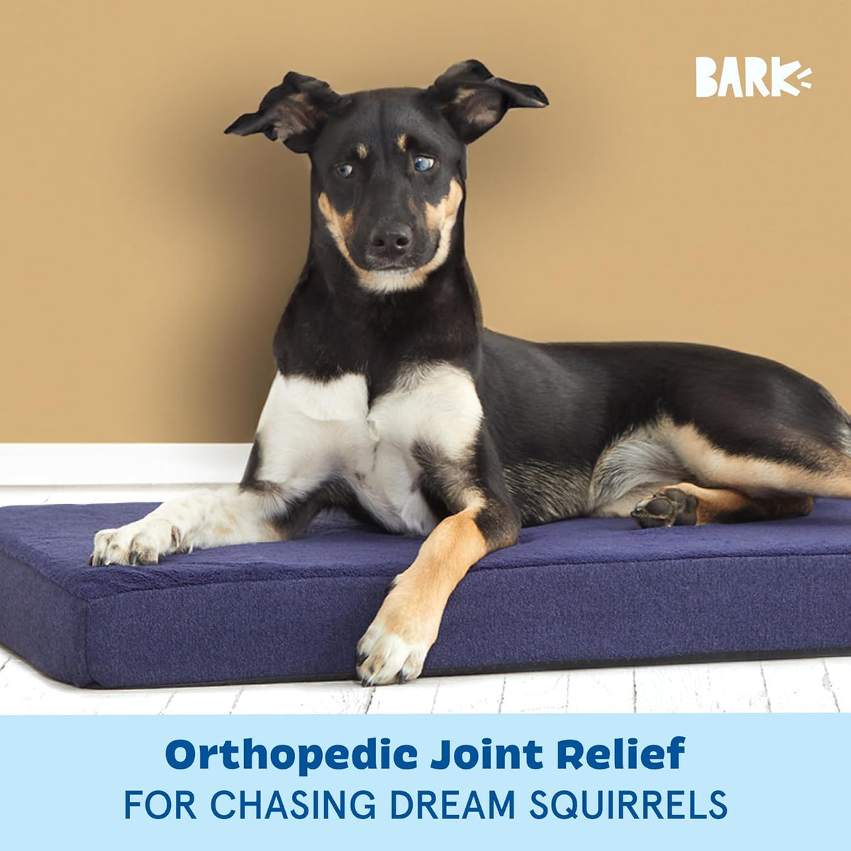 Barkbox Orthopedic Dog Bed with Memory Foam, Premium Comfort for Dogs and Puppies, Dog Bed for