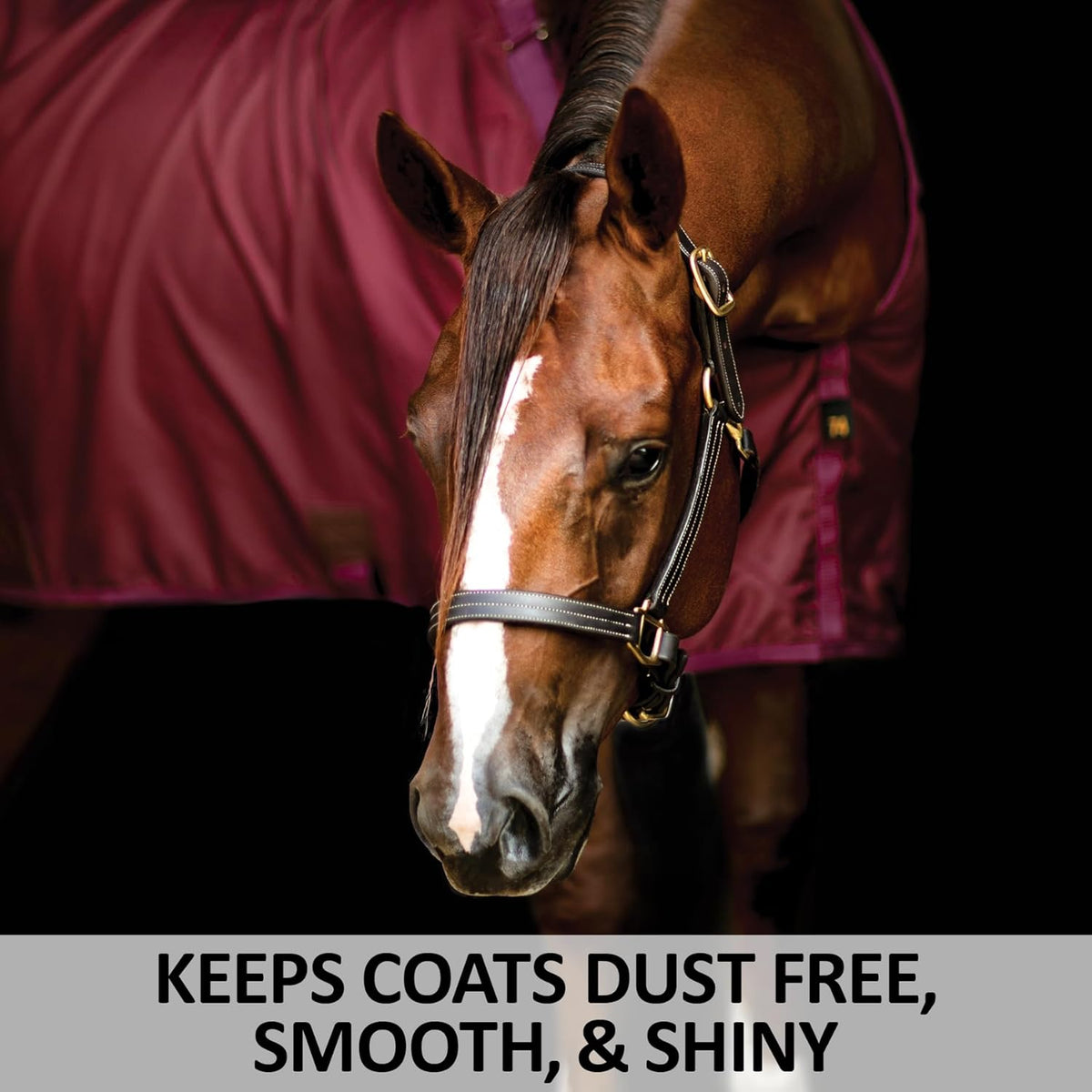 Dura-Nylon Horse Stable Sheet | Ultimate Comfort & Protection Horse Sheet | Keeps Coats Smooth &