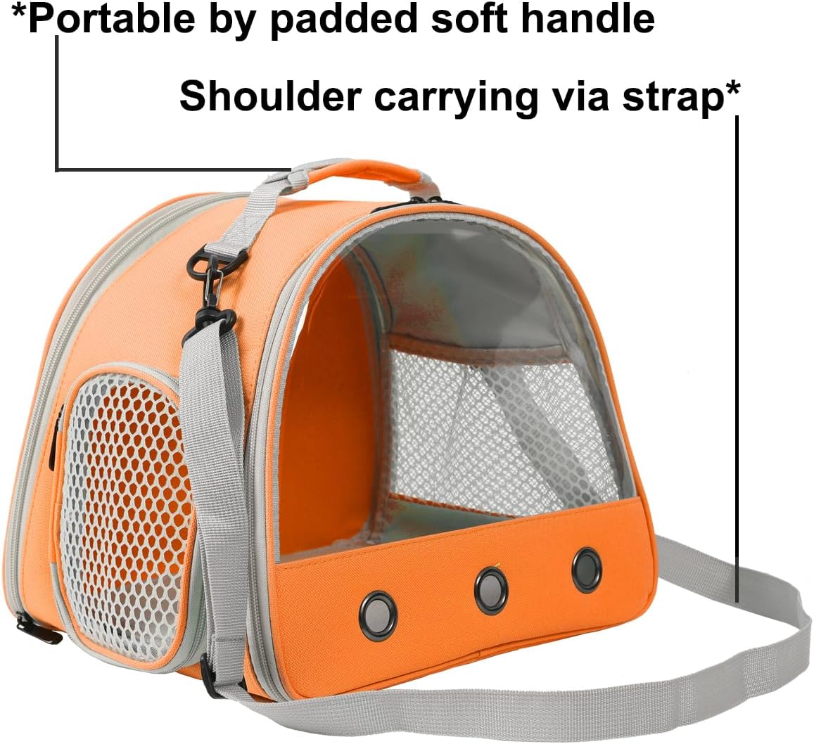 Guinea Pig Carrier,Guinea Pig Carrier for 2,Reptile Travel Carrier for Lizards Sugar Glider