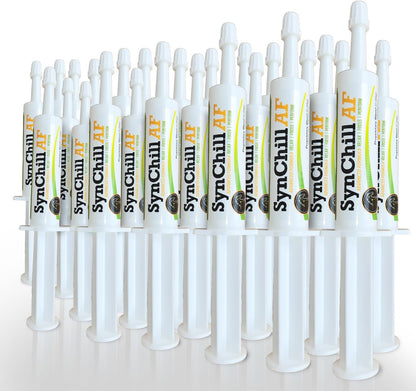 SynChill AF Calming Gel for Nervous Horses - Single Serving - Advanced Formula with L-Theanine