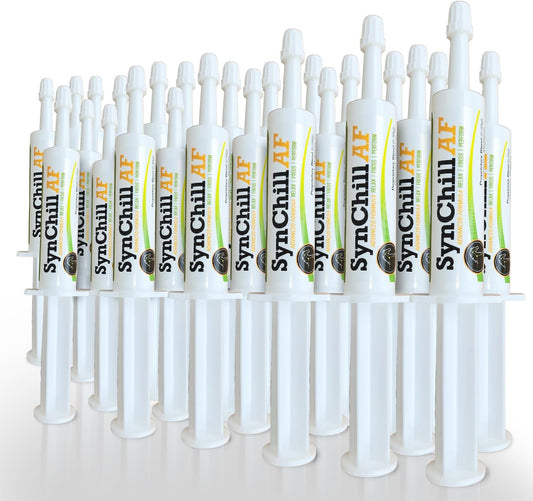 SynChill AF Calming Gel for Nervous Horses - Single Serving - Advanced Formula with L-Theanine