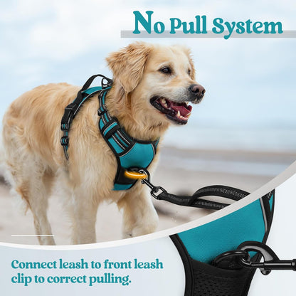 rabbitgoo Dog Harness No Pull with 2 Leash Clips, Adjustable Soft Padded, Reflective Oxford No