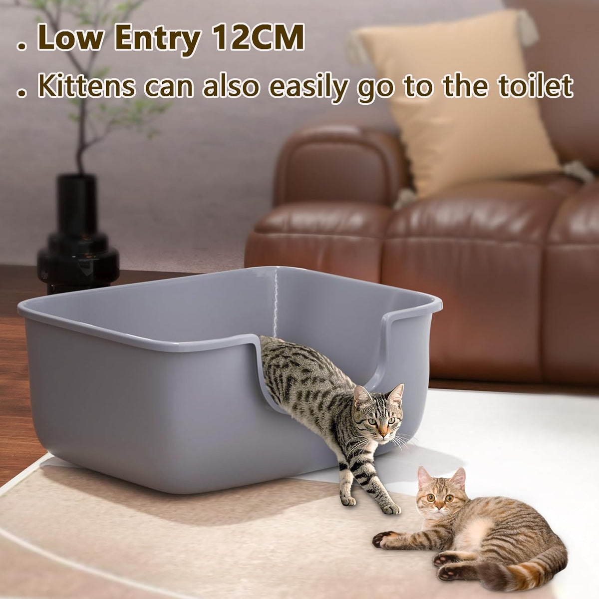 Large Cat Litter Box with High Sides, Open Kitty Litter Boxes Anti-Splashing for Indoor Cat Low