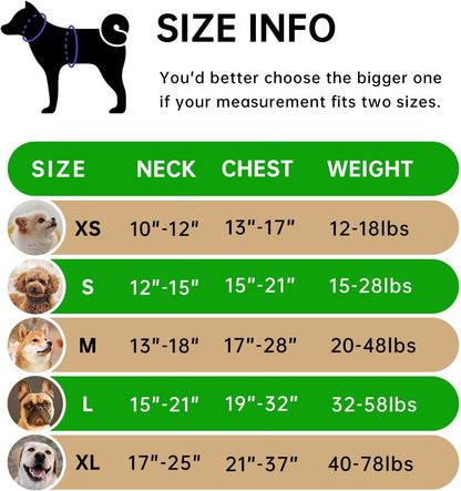 IVY&LANE No Pull Dog Harness for Small Dogs, Dog Vest Harness with Leash, Safety Belt and Storage