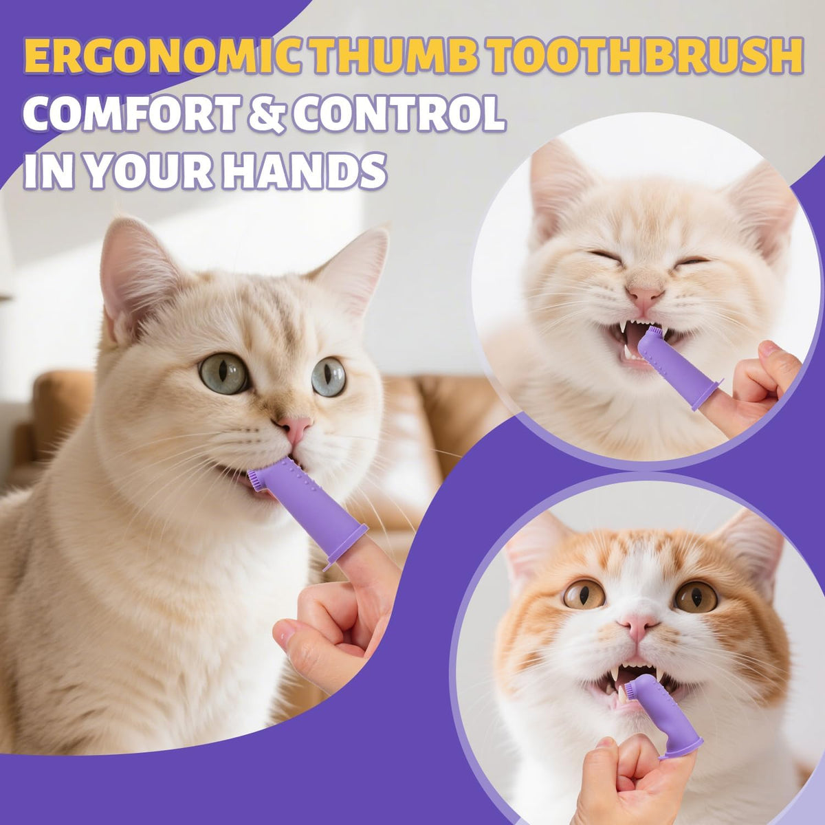 Cat Toothbrush and Toothpaste Kit - Includes Toothpaste (Coconut Chicken 2.5 oz.) Soft Brush