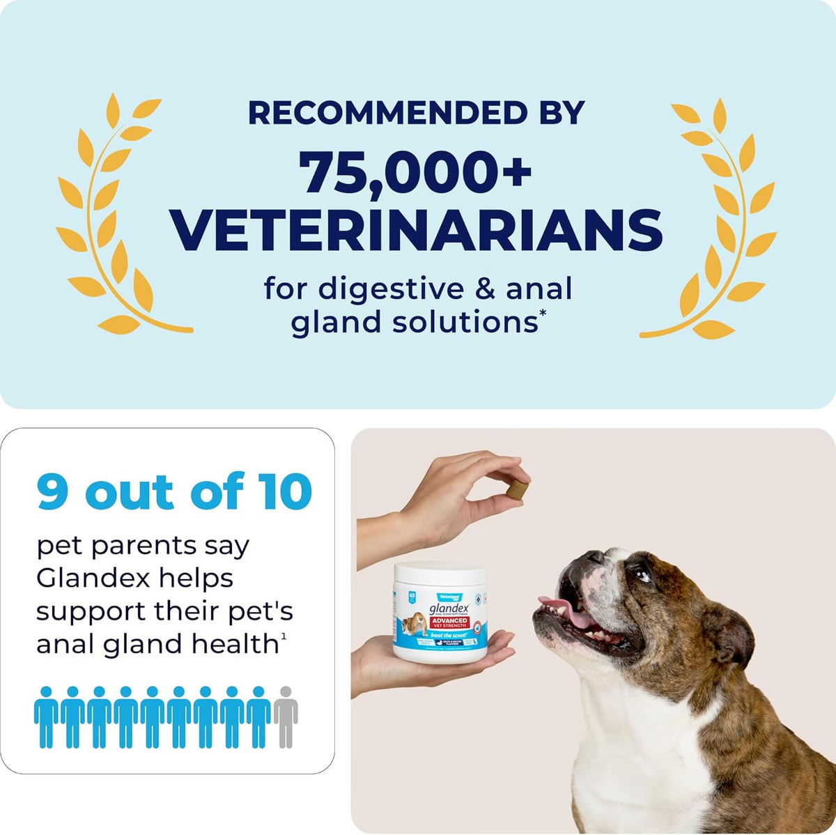 Vetnique Glandex Anal Gland Soft Chew Treats with Pumpkin for Dogs Digestive Enzymes, Probiotics