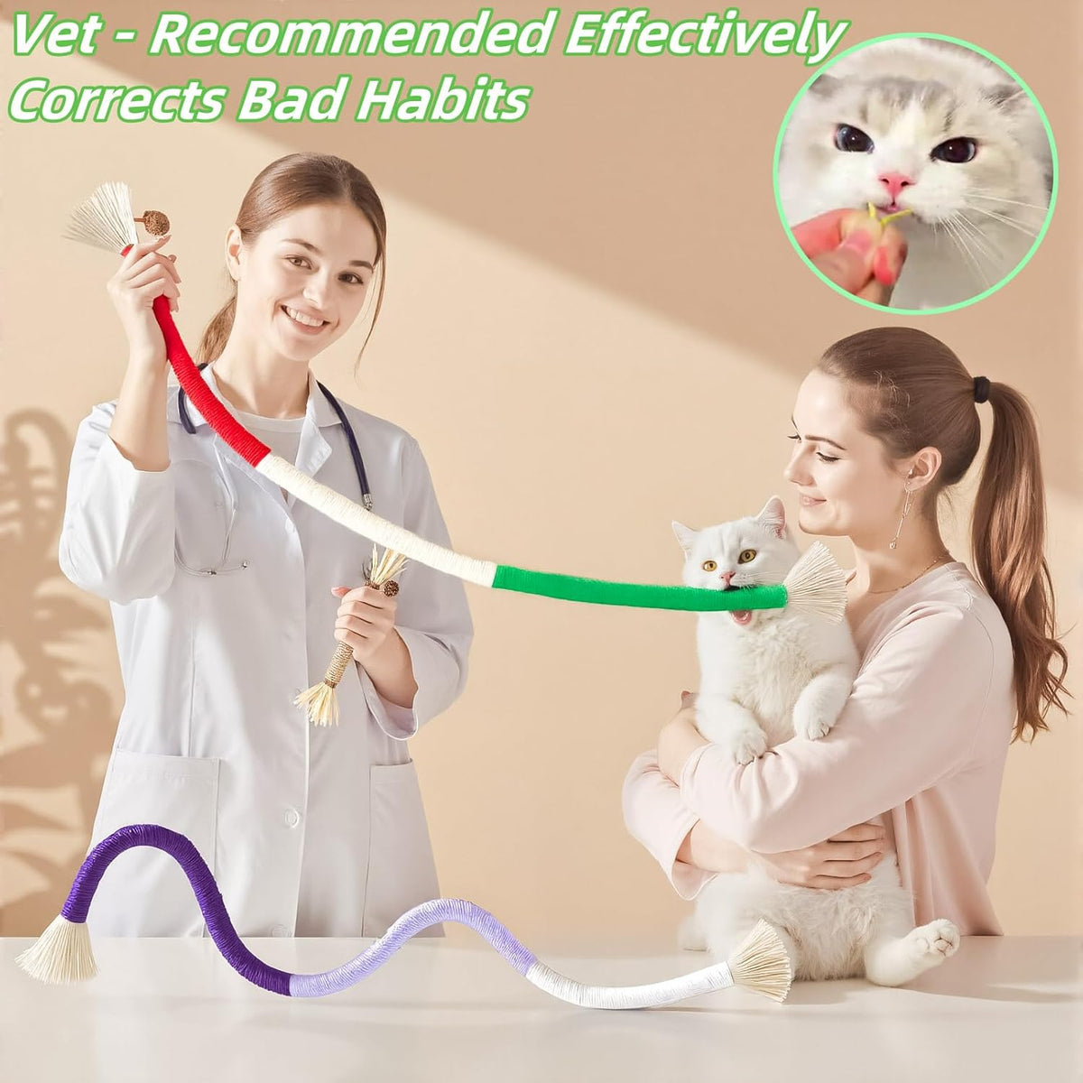 Cat Toys 12PCS Catnip Toy for Indoor Kitten Treat Cats Chew Stick for Dental Cleaning Teeth Kitten