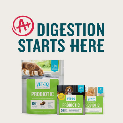 VetIQ Probiotic Supplement for Dogs, Digestive Support for Dogs, Nourishes Gut Bacteria and