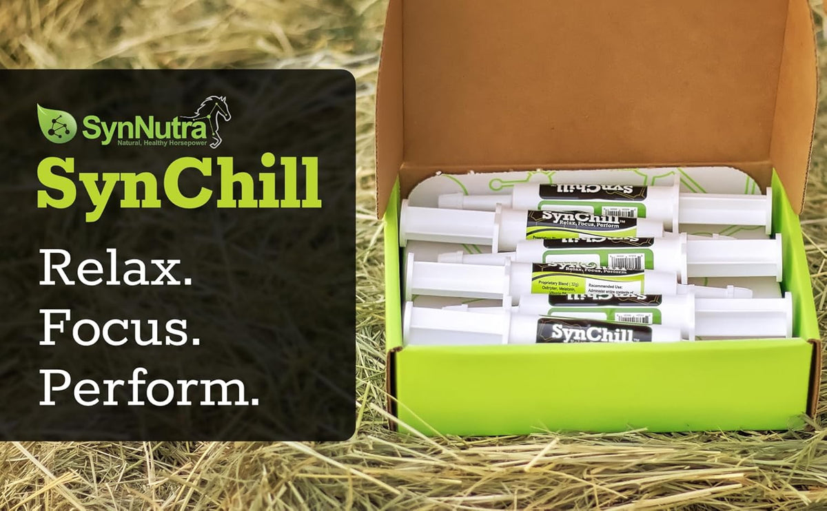 SynChill Oral Horse Calming Gel, 100% Natural & Nutritional Supplement, Lab Proven Results