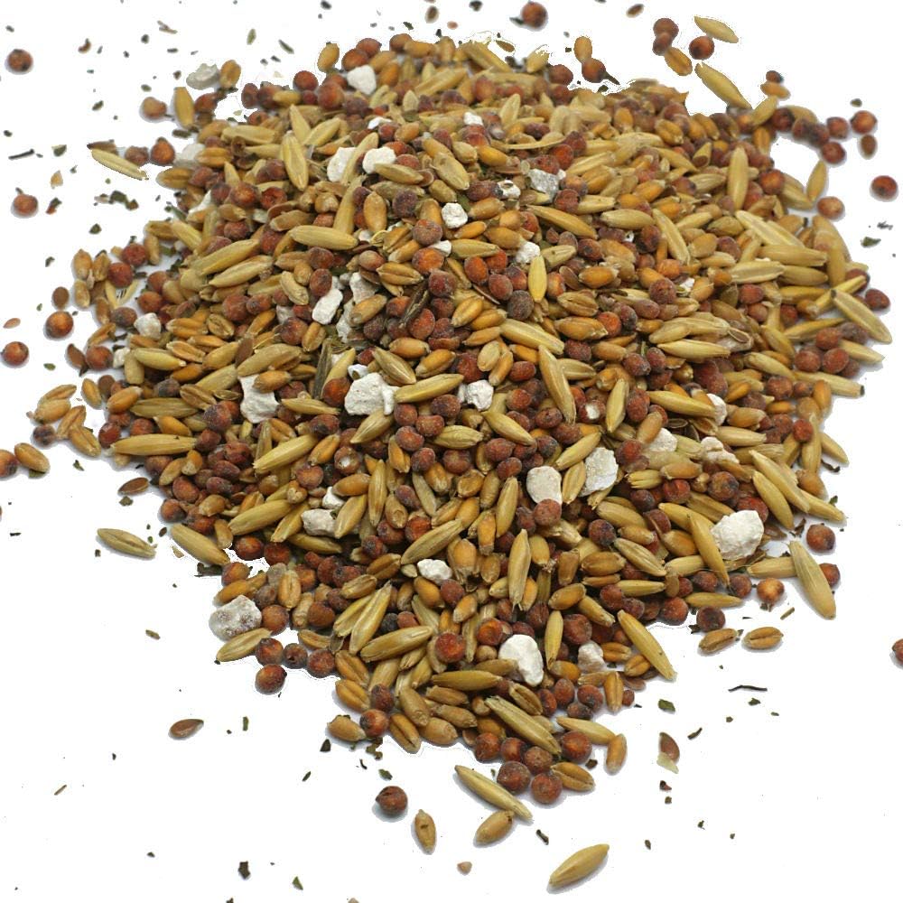 Pampered Chicken Mama Chick Feed - Premium Chicken Scratch Treat - High Protein & Calcium Grower