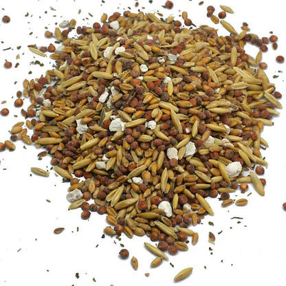 Pampered Chicken Mama Chick Feed - Premium Chicken Scratch Treat - High Protein & Calcium Grower