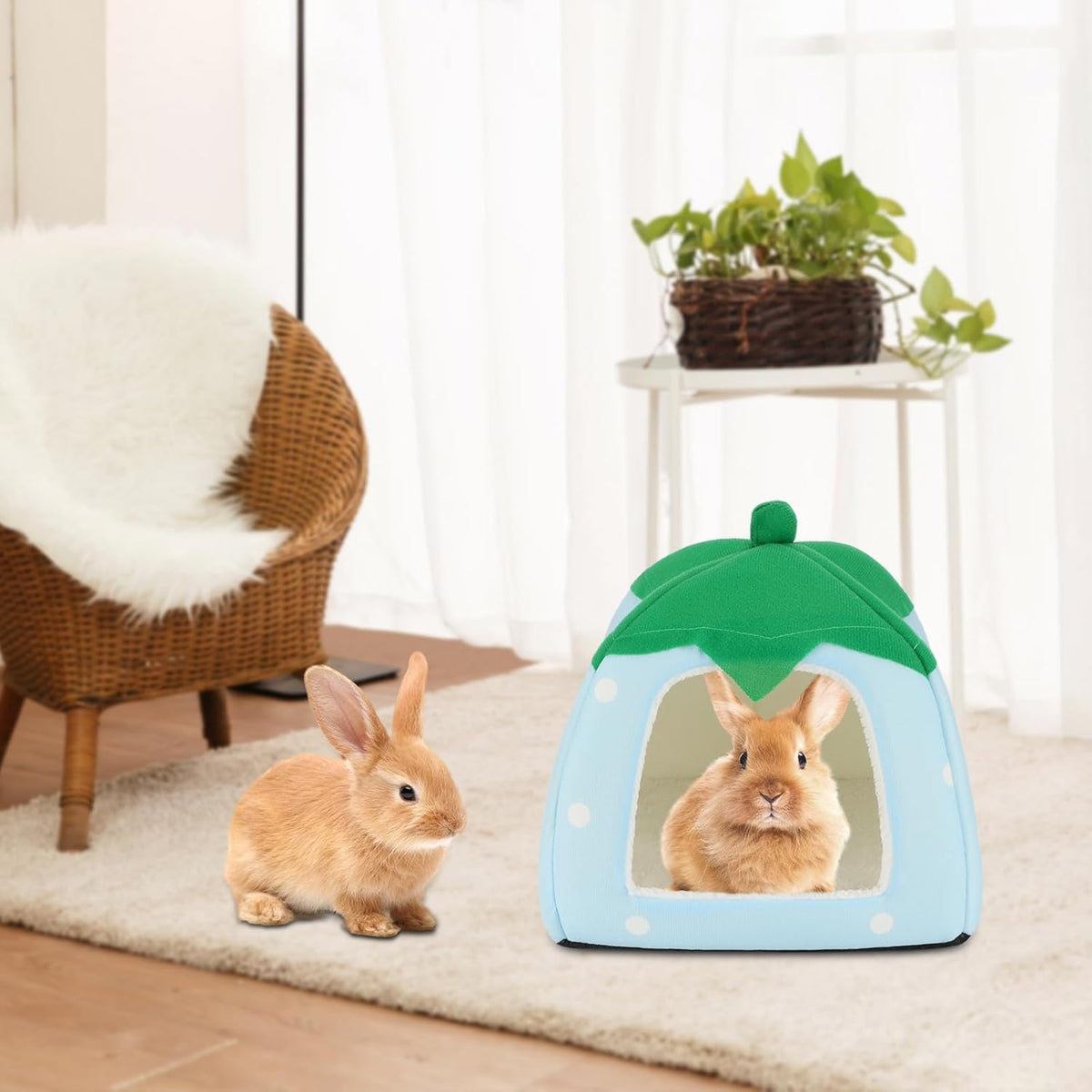 BWOGUE Guinea Pig House Bed Cozy Hamster Cave Large Hideout for Dwarf Rabbits Hedgehog Bearded