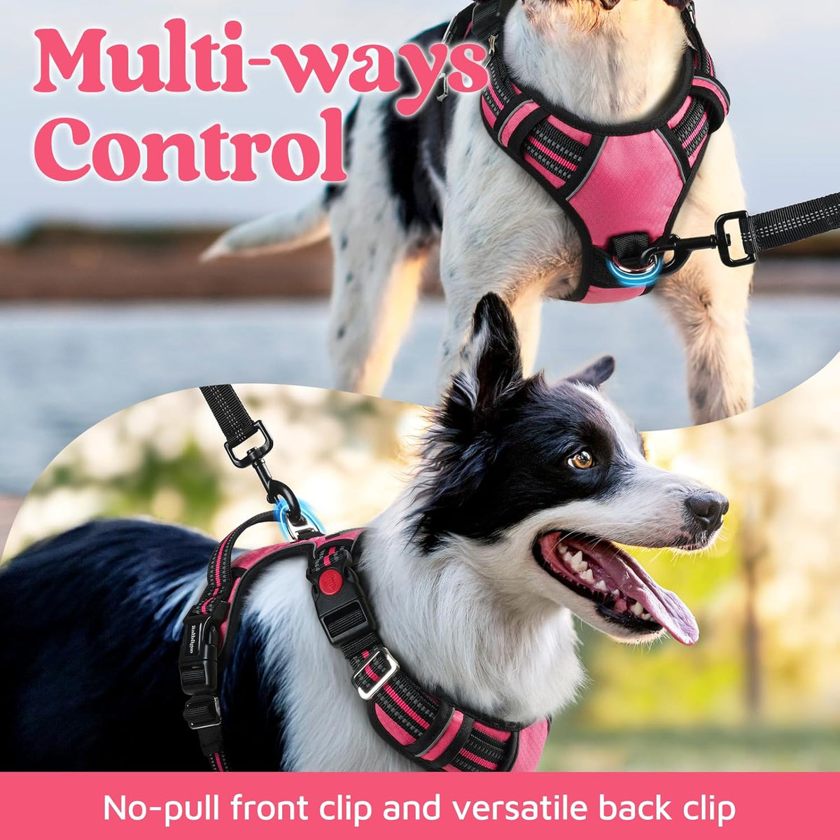 rabbitgoo Dog Harness Small Sized, No Pull Dog Vest with 3 Buckles, Adjustable Soft Padded Pet