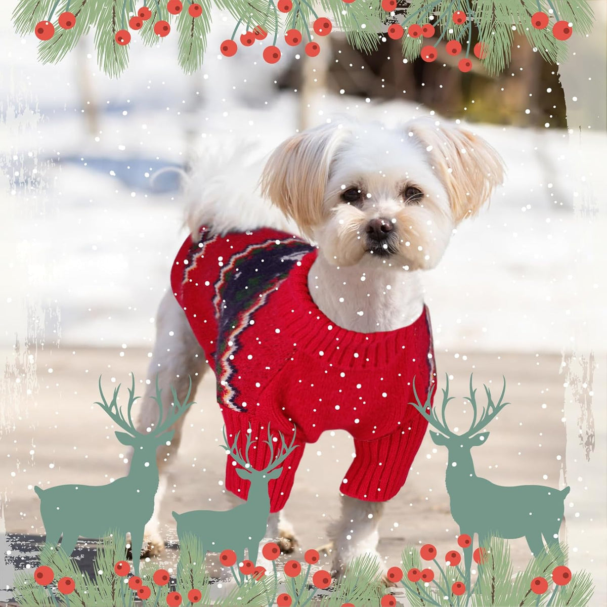 Queenmore Christmas Sweater, Knitted Pullover Turtleneck Outfit for Dogs, Warm Clothes for Small