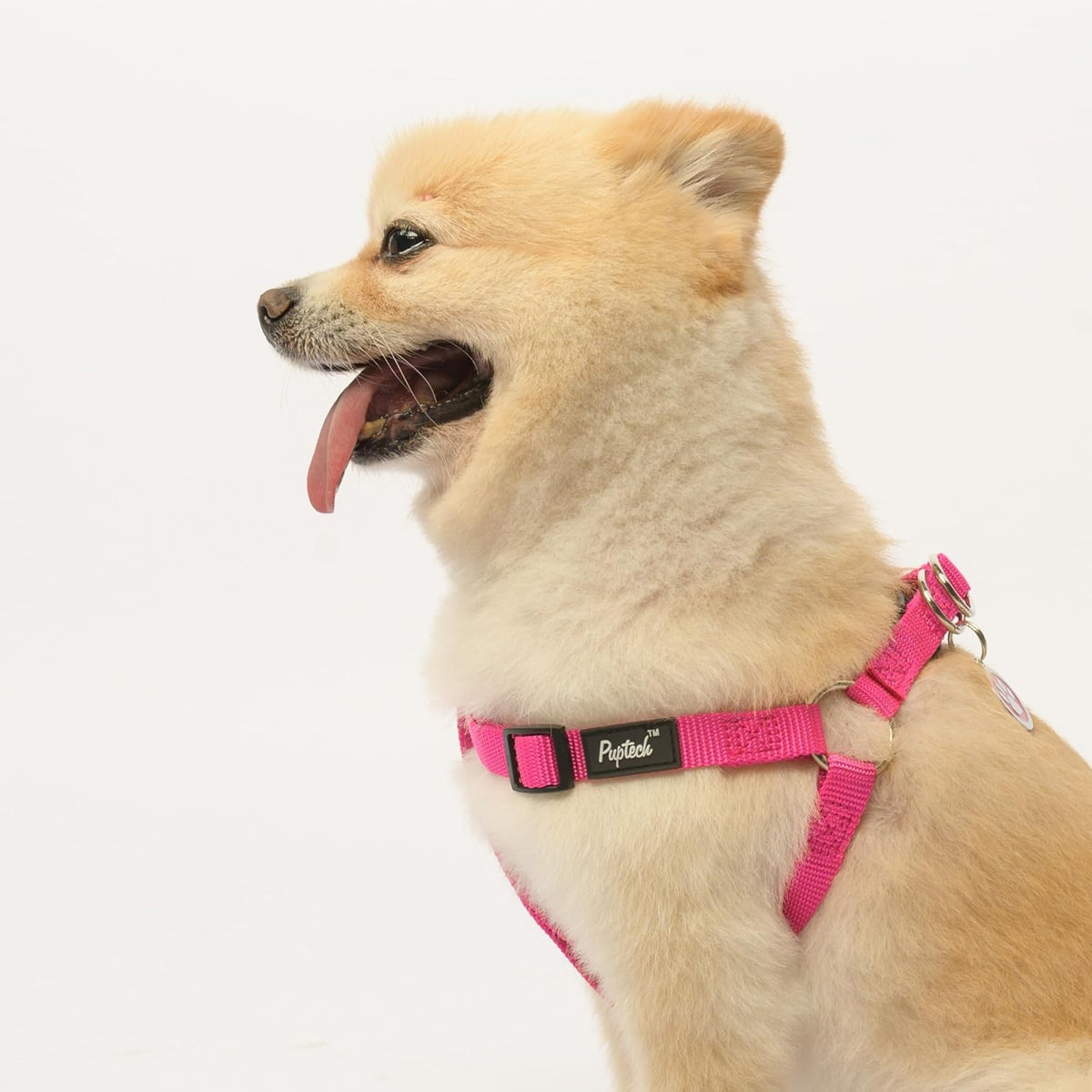 PUPTECK No Pull Dog Harness Soft Adjustable Basic Nylon Step in Puppy Vest Outdoor Walking with ID