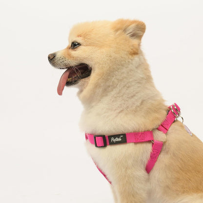 PUPTECK No Pull Dog Harness Soft Adjustable Basic Nylon Step in Puppy Vest Outdoor Walking with ID