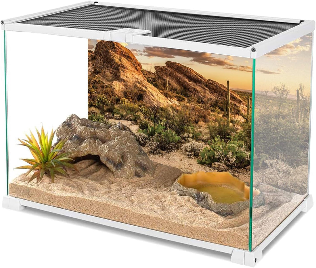AWERT Reptile Habitat Background Blue Sky Oasis Cactus Sun and Desert Terrarium Background 60x24