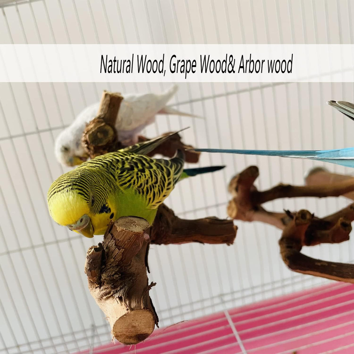 Allazone 5 PCS Natural Wooden Parrot Stand Bird Perch Stand Grape Stick Hanging Multi Branch Perch