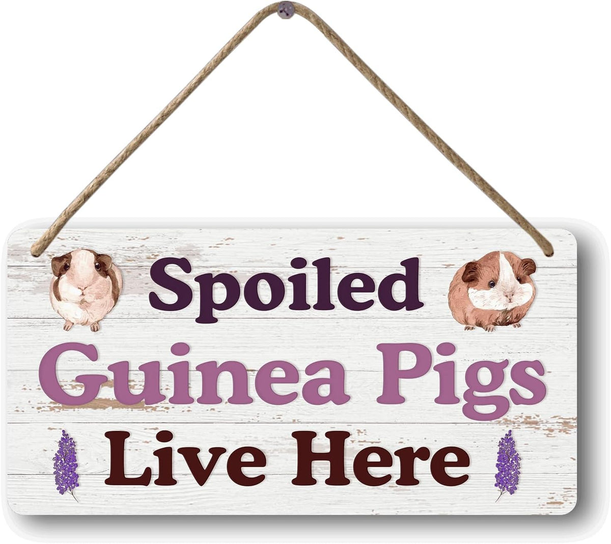 Big Hamster Ball & Guinea Pig Hideout - Stuffed Animals & Accessories for Guinea Pig Cage - 12x6 In