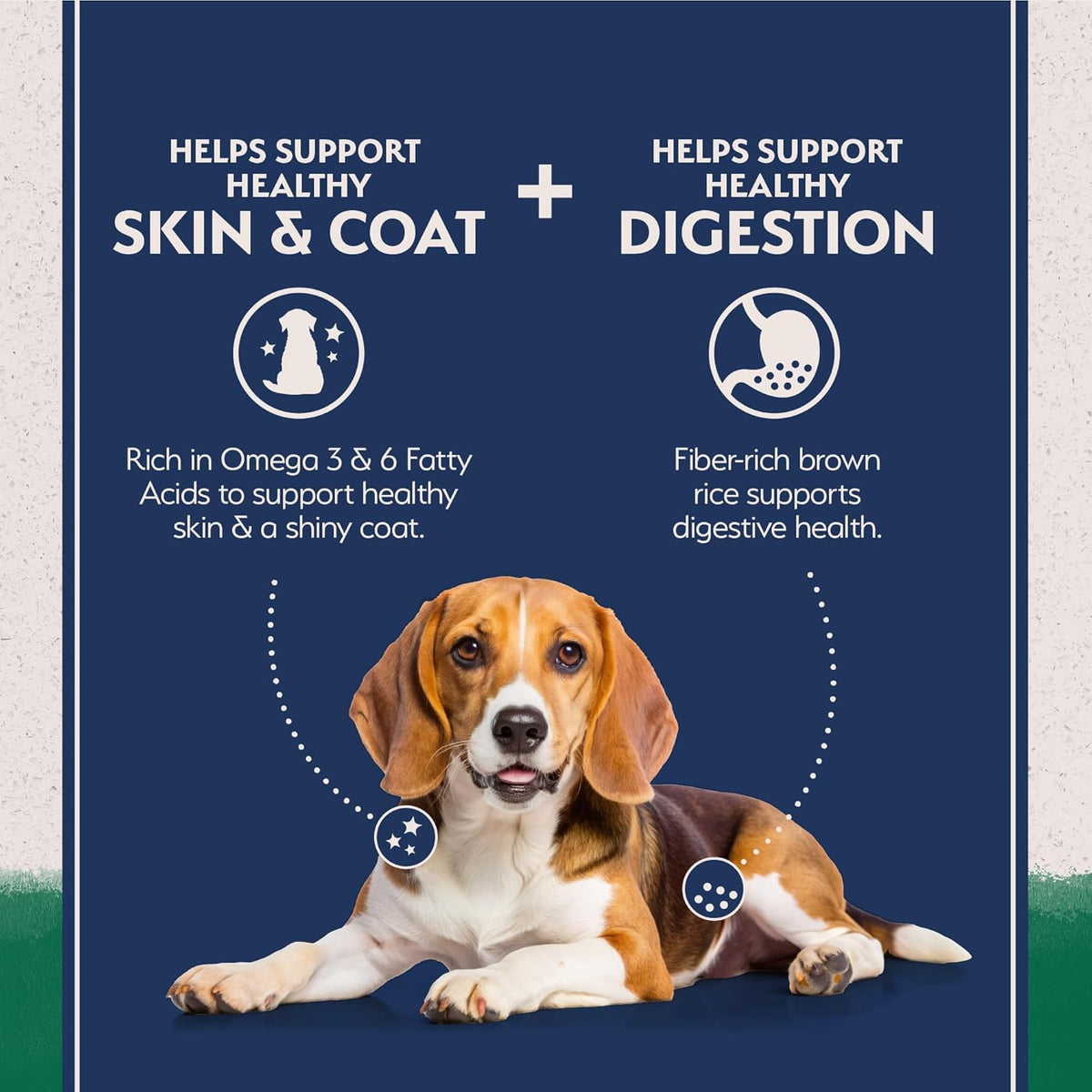 Natural Balance Limited Ingredient Adult Dry Dog Food with Healthy Grains, Lamb & Brown Rice