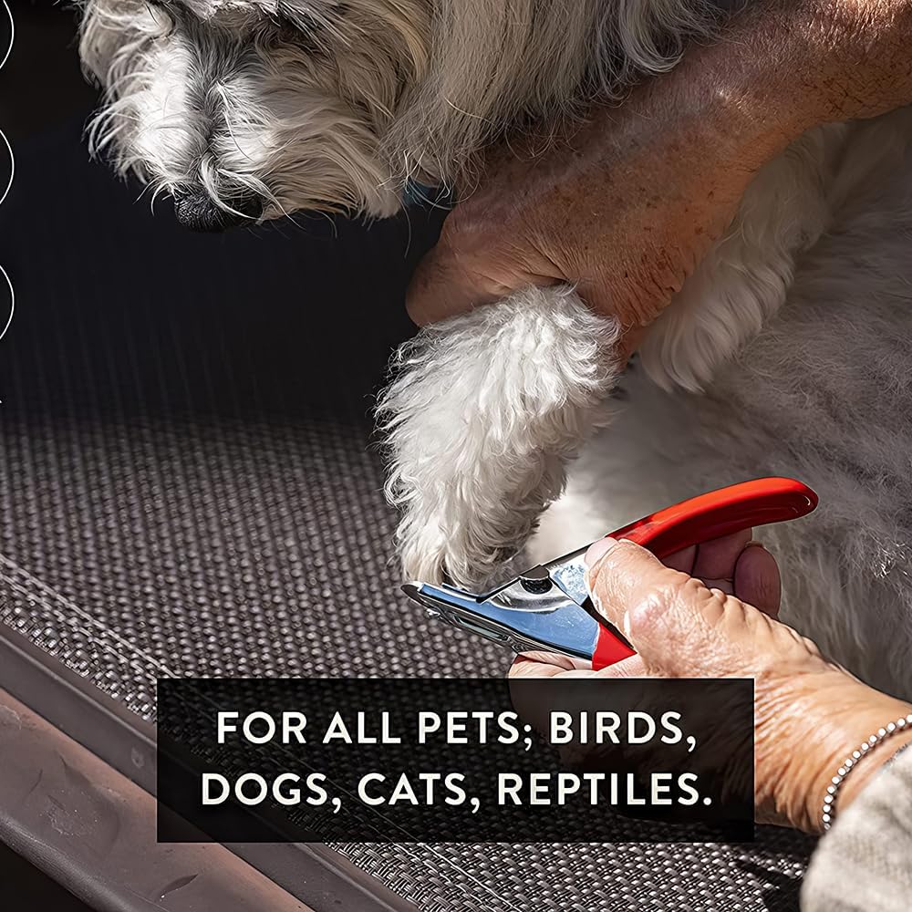 Pet Care Pedicure Kit for Dogs, Cats, Birds and Reptiles - Nail Clippers, File and Scissors Style