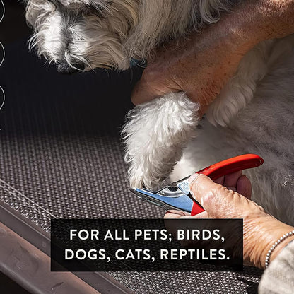 Pet Care Pedicure Kit for Dogs, Cats, Birds and Reptiles - Nail Clippers, File and Scissors Style
