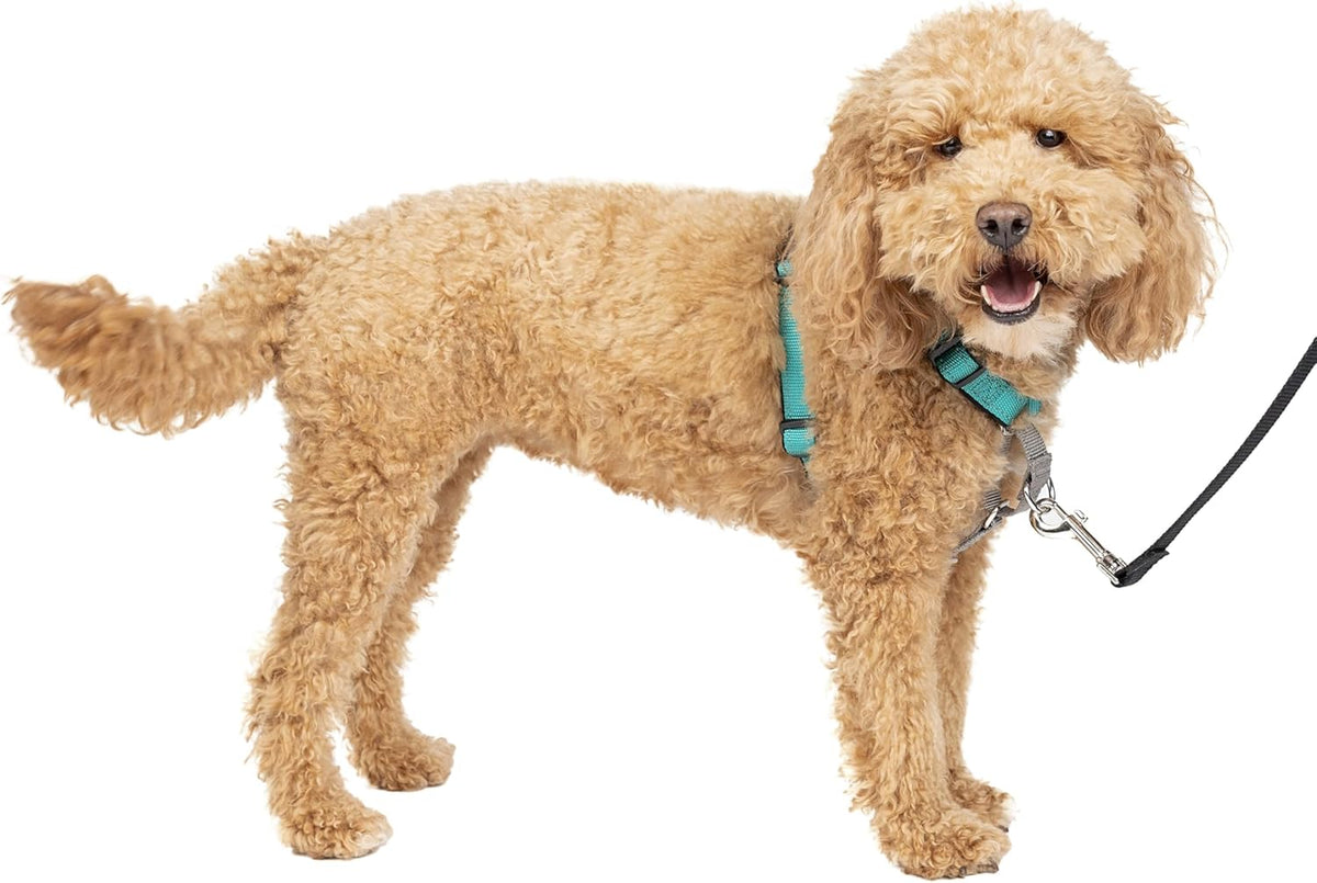 PetSafe 3 in 1 Dog Harness - No Pull Solution for Dogs - Reflective Dog Harness - Front D-Ring Clip