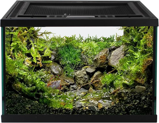 Reptile Glass Terrarium Tank 12 * 12 * 8" Full View with Top Ventilation, Amphibians Box Habitat