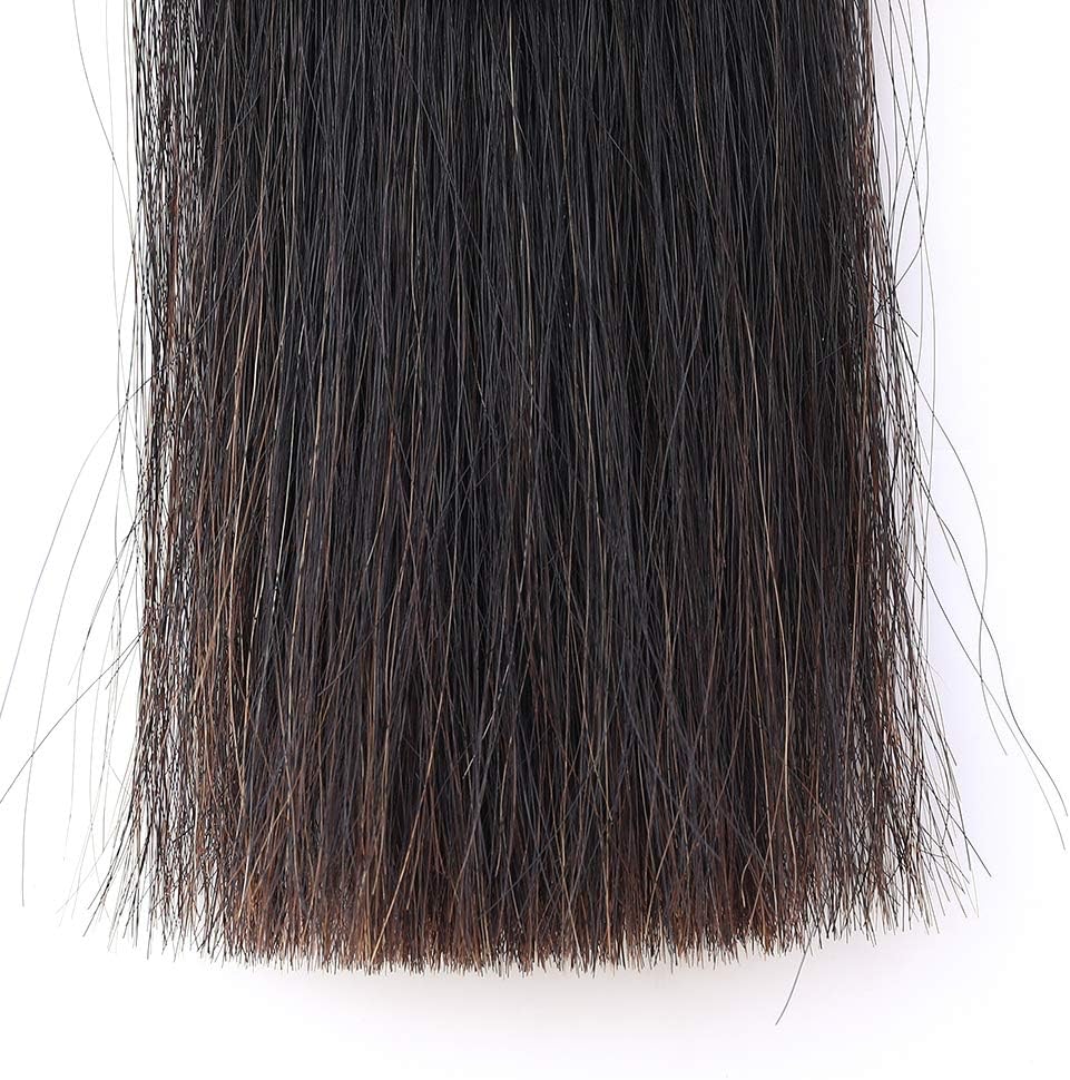 Horse Tail Extensions with Braided Horsehair Loop, Blunt Cut Bottom, 34-36 inches Long and 1 lb