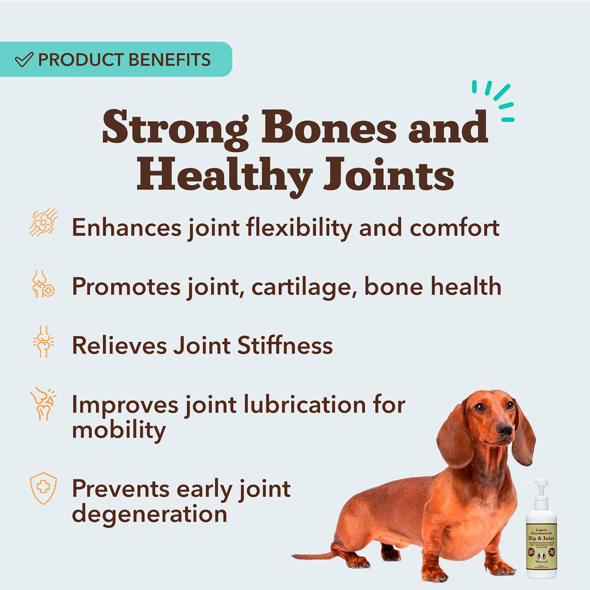 Natural Dog Company Liquid Glucosamine Hip & Joint Oil for Dogs, 16 oz, Extra Strength Cartilage &