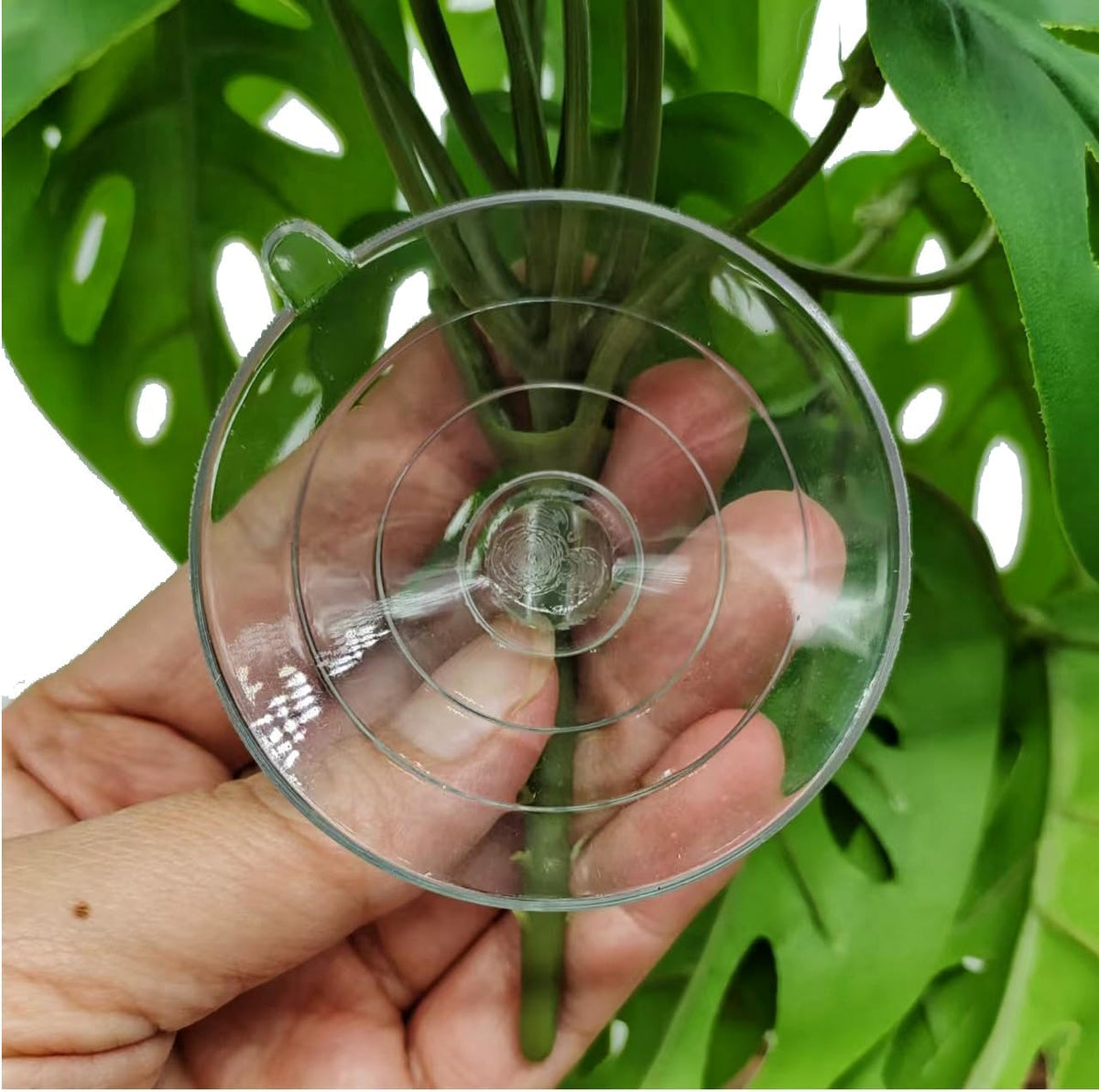 Reptile Plants for Terrarium Decor, Amphibian Habitat Decor, Reptile Tank Accessories, Artificial