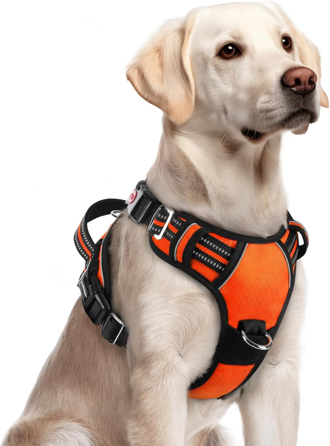 rabbitgoo Dog Harness for Large Dogs, No Pull Pet Vest with 3 Buckles, Adjustable Soft Padded Pet