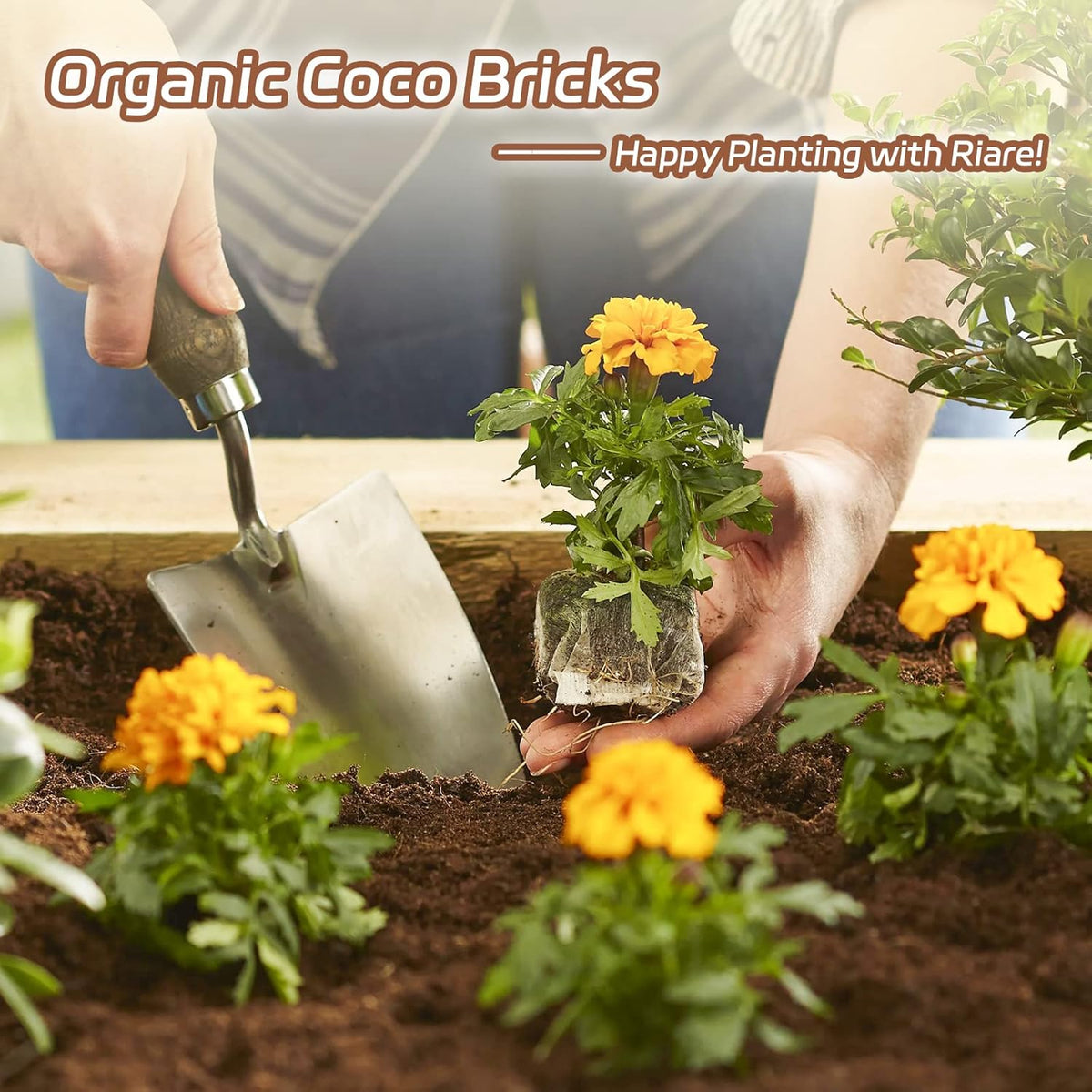 Riare 8pcs Organic Coco Coir Bricks Soil Blocks- 100% Natural Compressed Coco Peat Brick Coconut