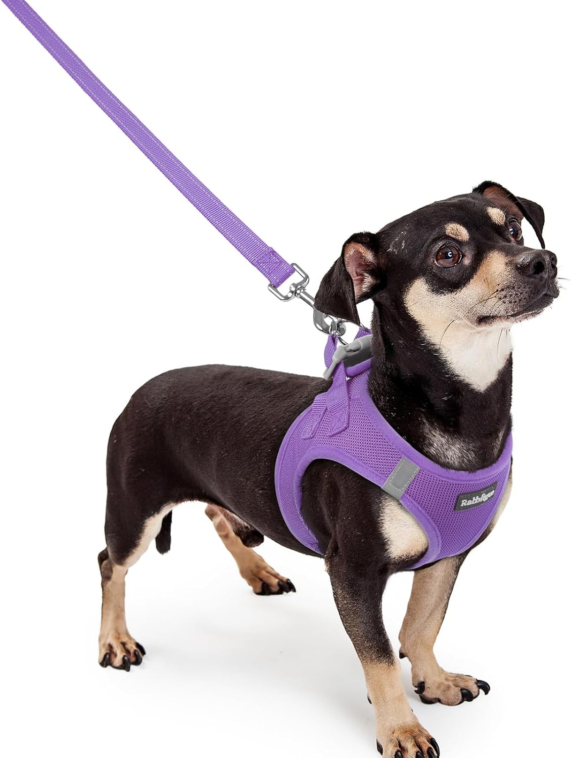 rabbitgoo Dog Harness Small Sized and Leash Set, Step in Soft Light Puppy Vest, Breathable Mesh Pet