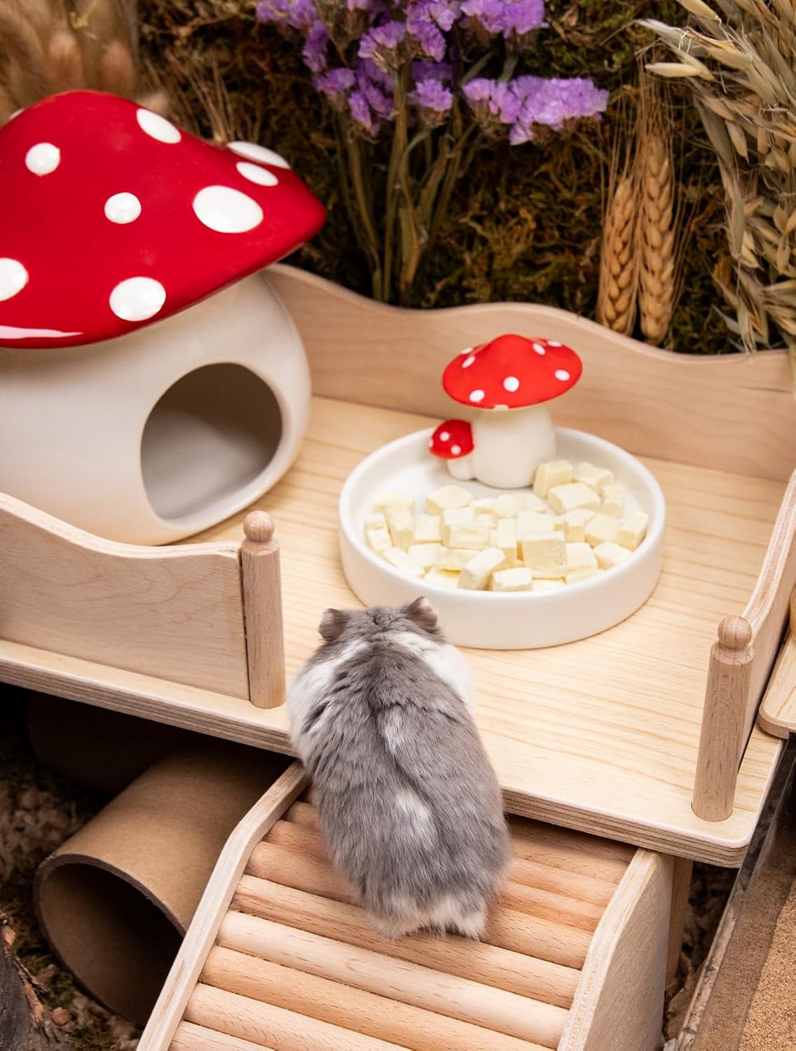 Niteangel Hamster Snack & Treats Toy - Small Animal Natural Treat for Dwarf Syrian Robo Hamsters